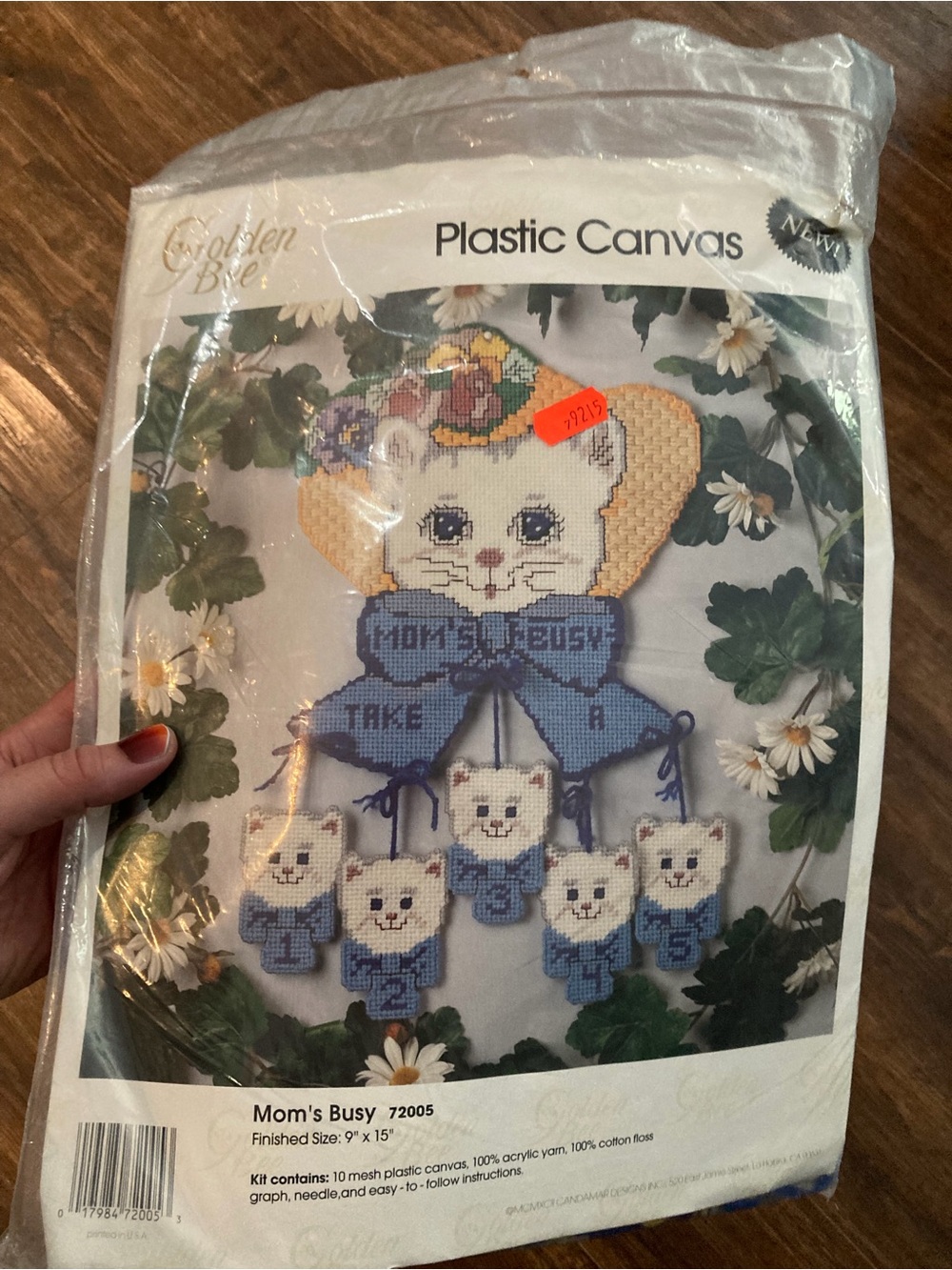 Plastic Canvas Cat Wall Hanging Kit - Blue and White